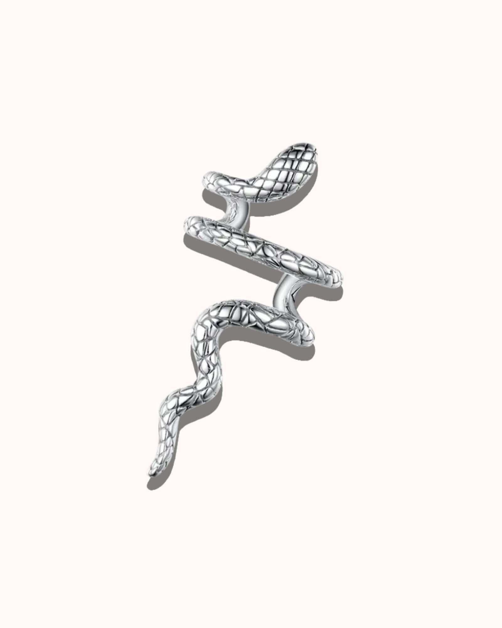 Silver snake-shaped earring on a white background